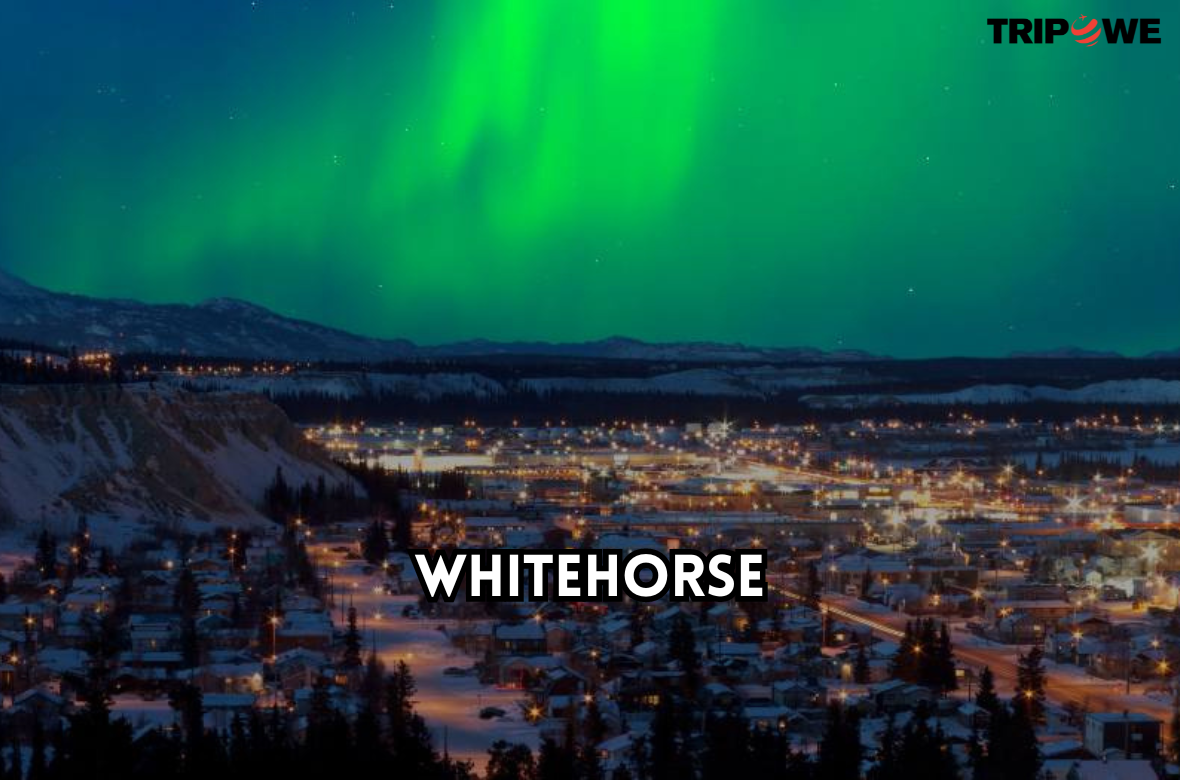 Whitehorse tripowe.com