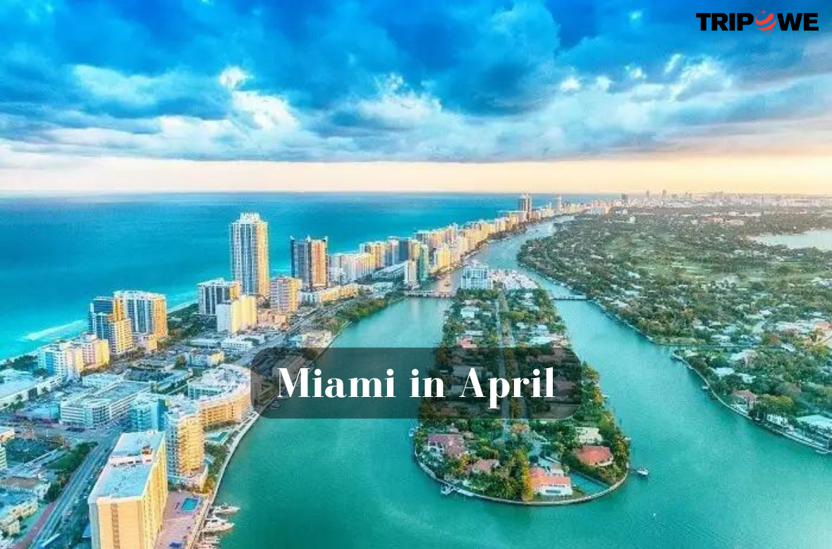 Miami in April tripowe.com
