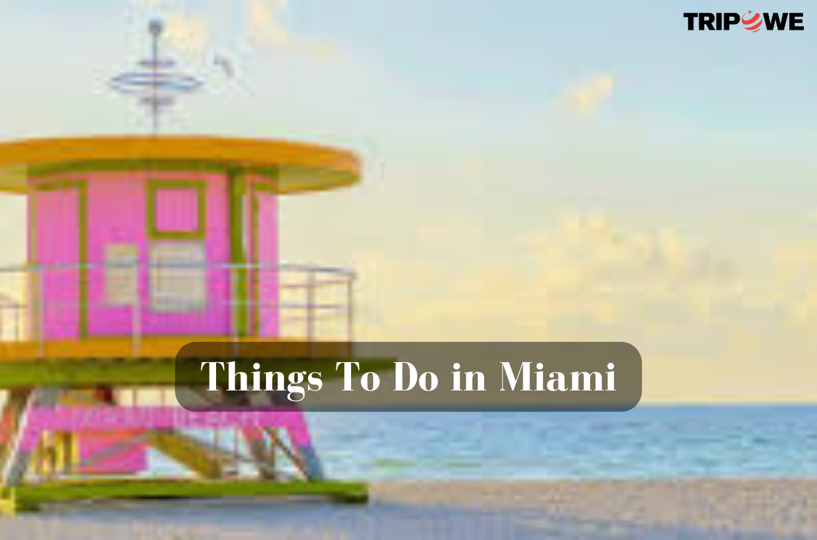 Things To Do in Miami tripowe.com