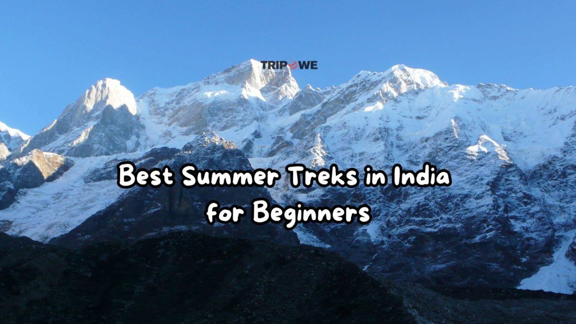 Best Summer Treks in India for Beginners