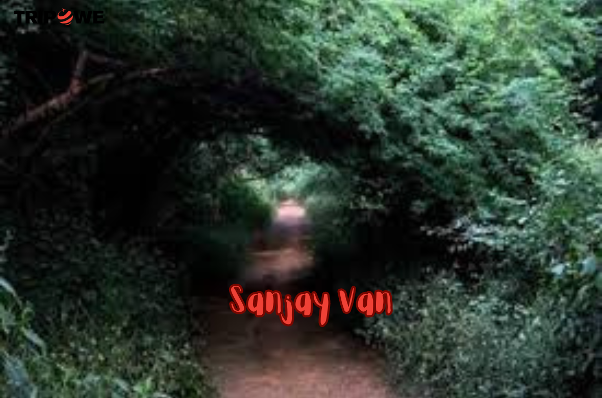 Sanjay Van tripowe.com