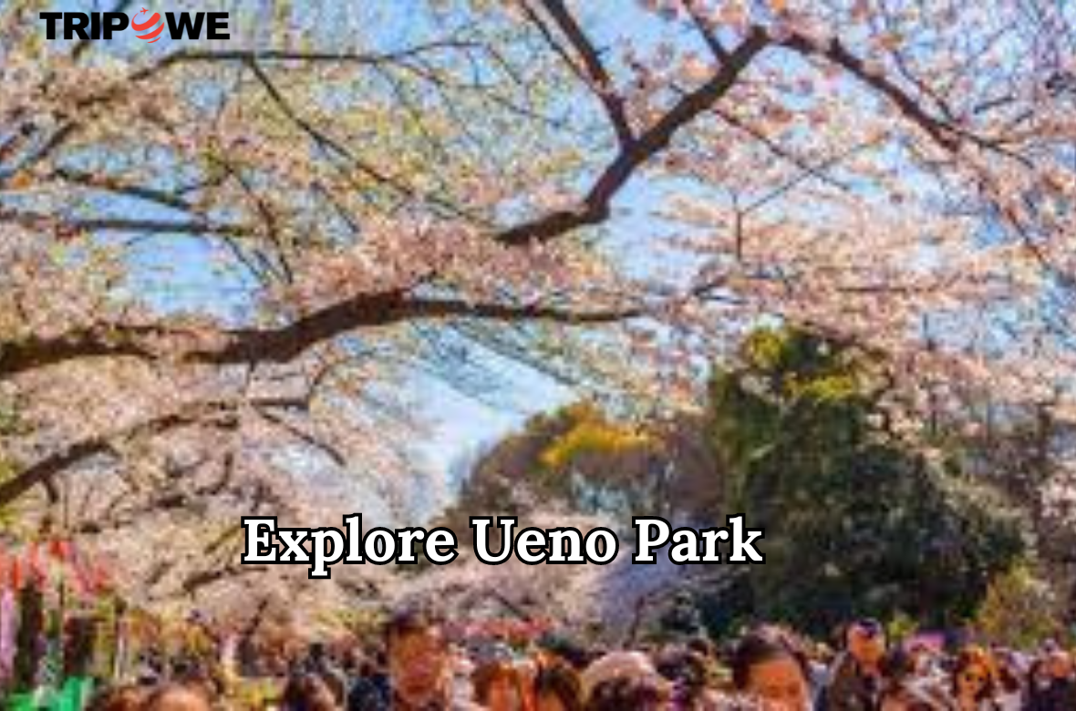 Top things to do in Summer in tokyo 2024