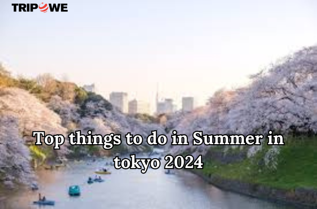 Top things to do in Summer in tokyo 2024