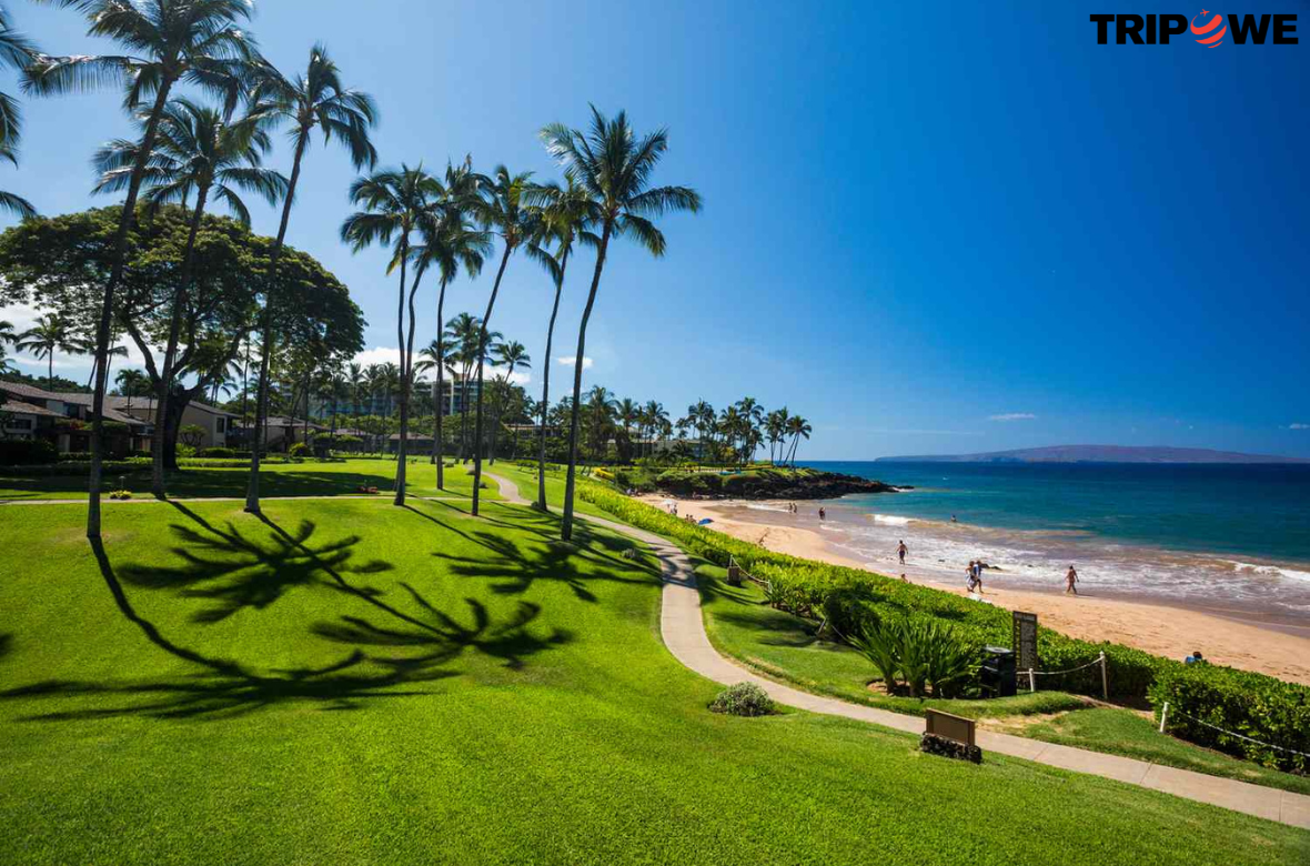 Maui Hawaii Travel Guide Facts