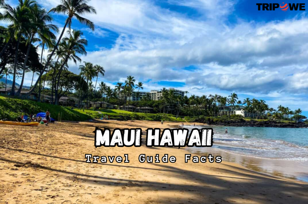 Maui Hawaii Travel Guide Facts