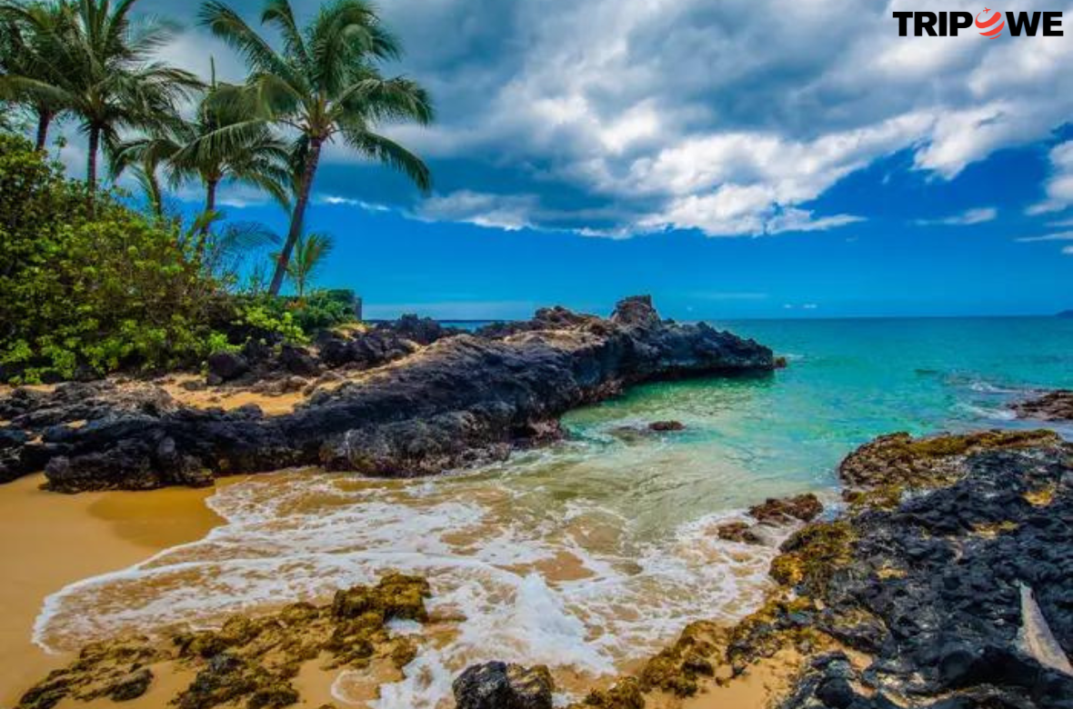 Maui Hawaii Travel Guide Facts
