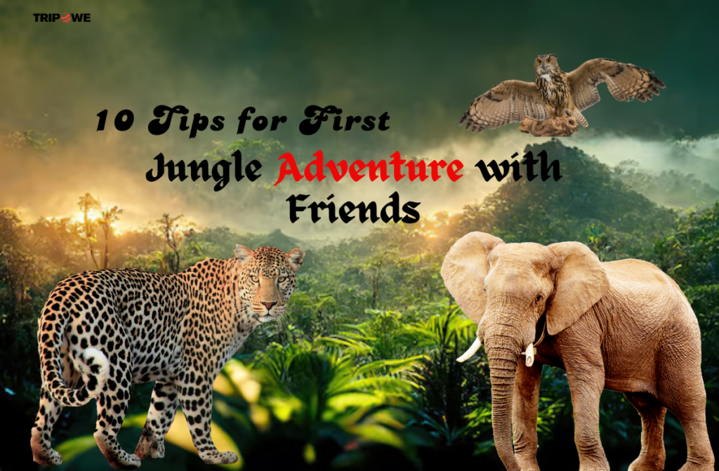 10 Tips for First Jungle Adventure with Friends