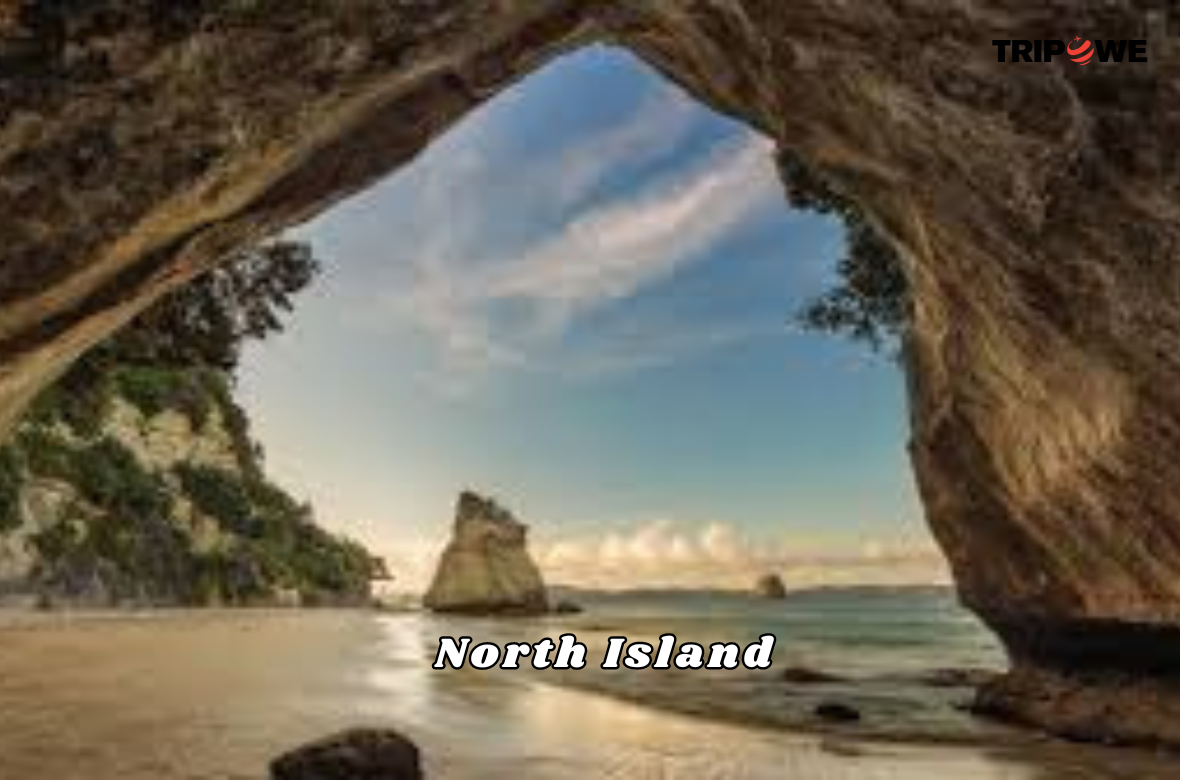 New Zealand Travel Guide blog 