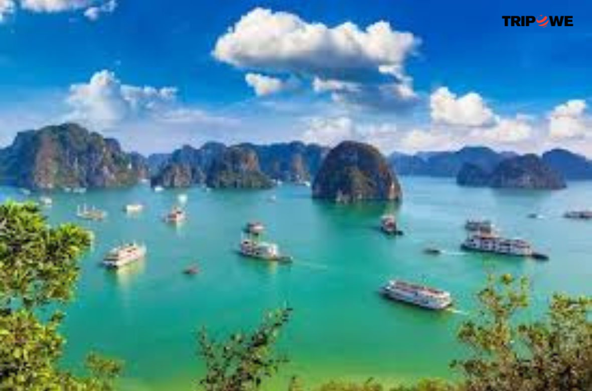 Halong Bay and Phong Nha-Ke Bang National Park tripowe.com