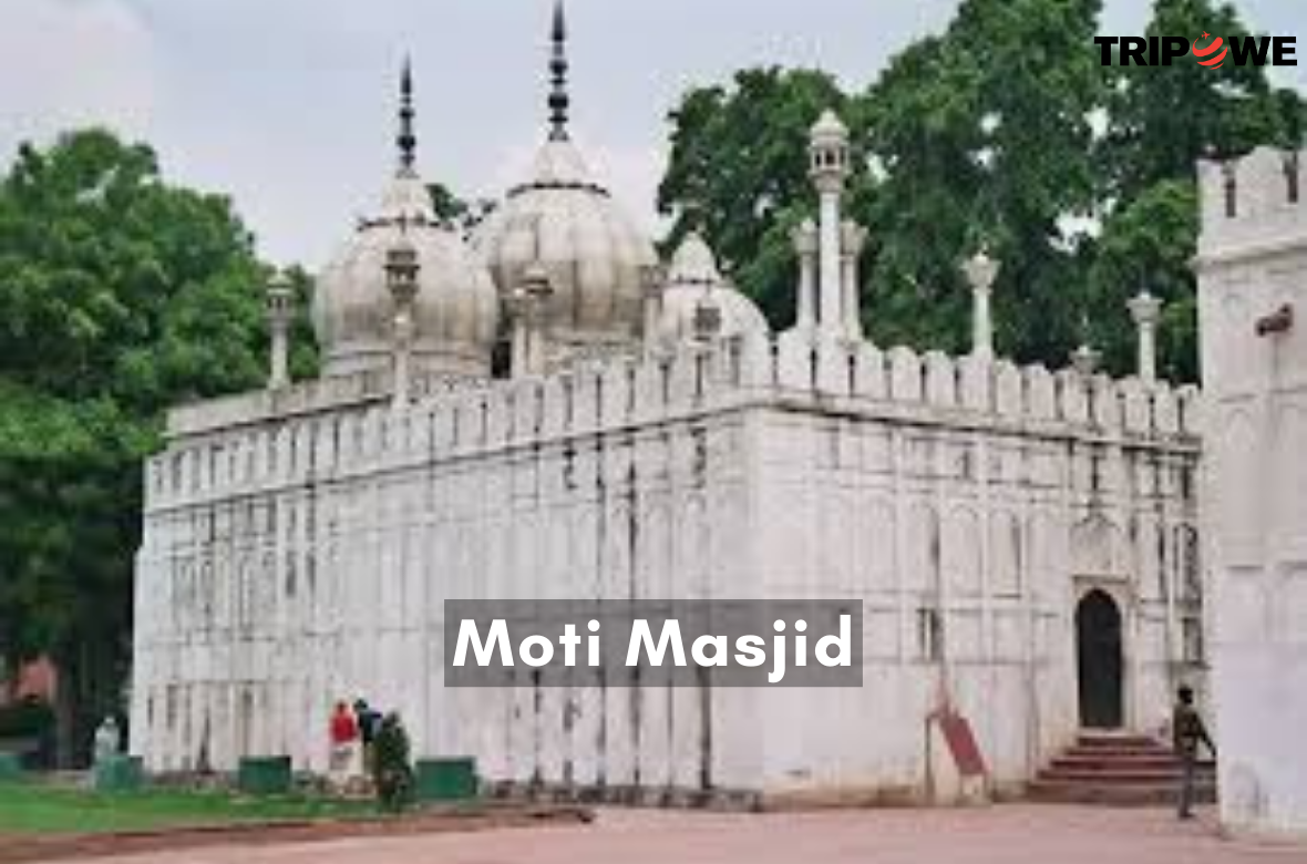 Moti Masjid tripowe.com