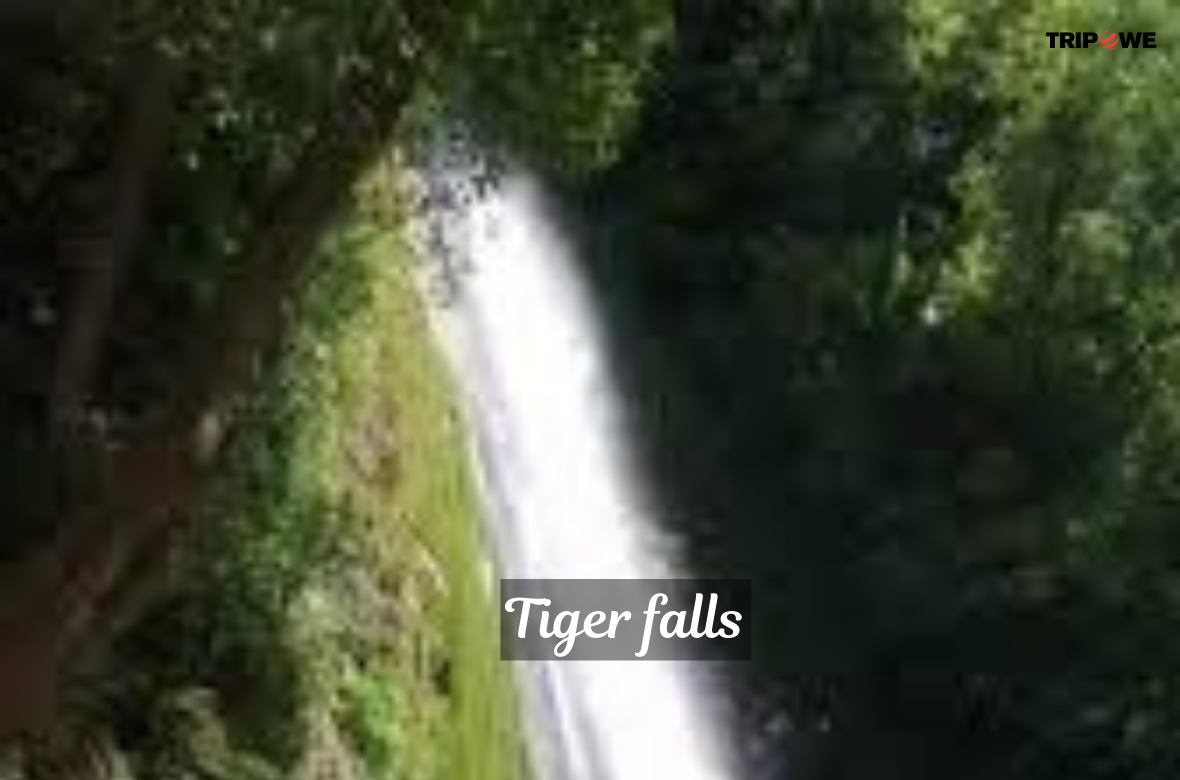 Tiger falls tripowe.com
