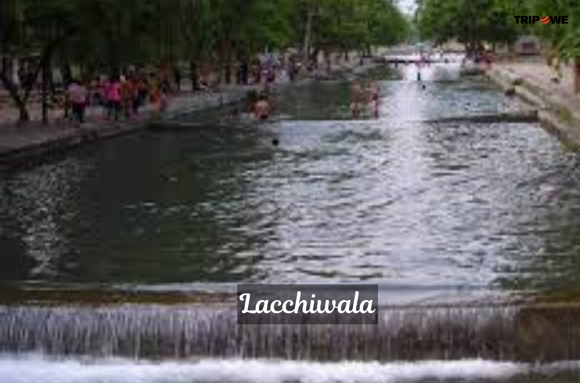 Lacchiwala tripowe.com