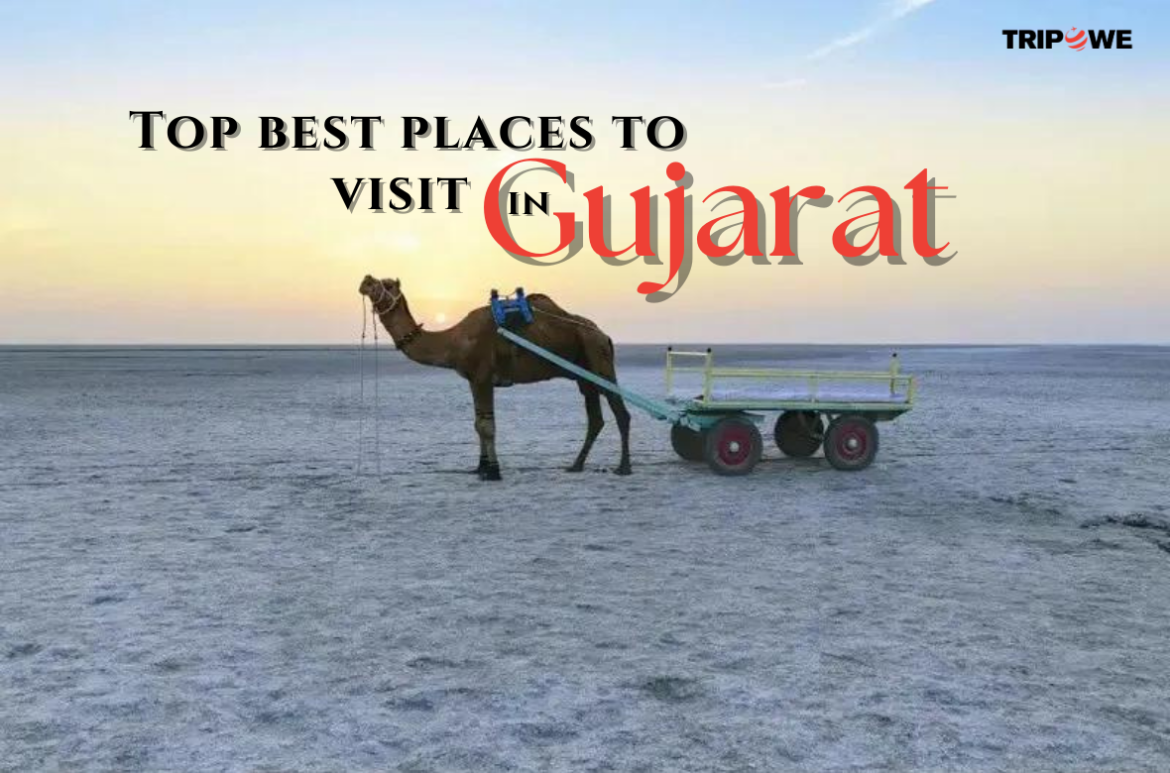 Top best places to visit in Gujarat