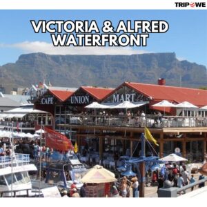 Victoria & Alfred Waterfront
