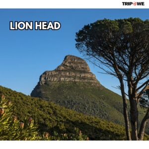 Lion's Head