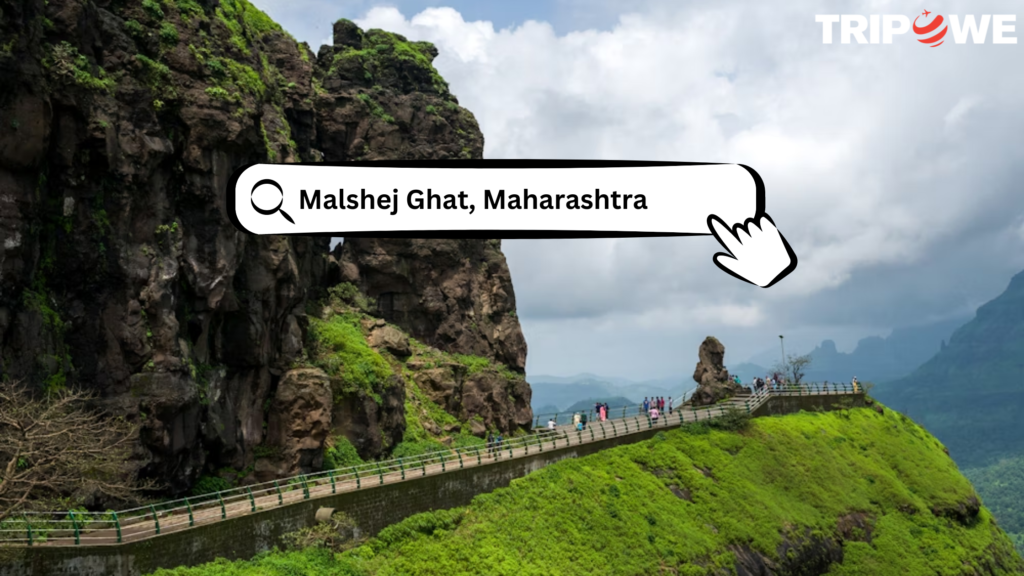 Malshej Ghat, Maharashtra