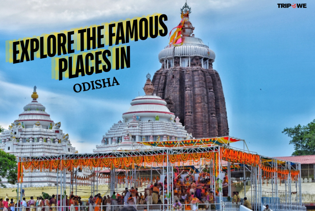 Explore the Famous Places in Odisha