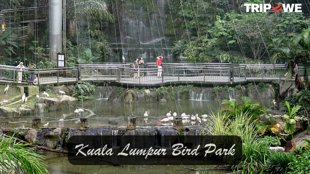 Kuala Lumpur Bird Park