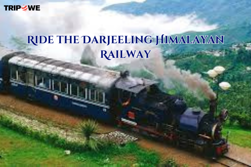 Travel Darjeeling in Monsoon Season