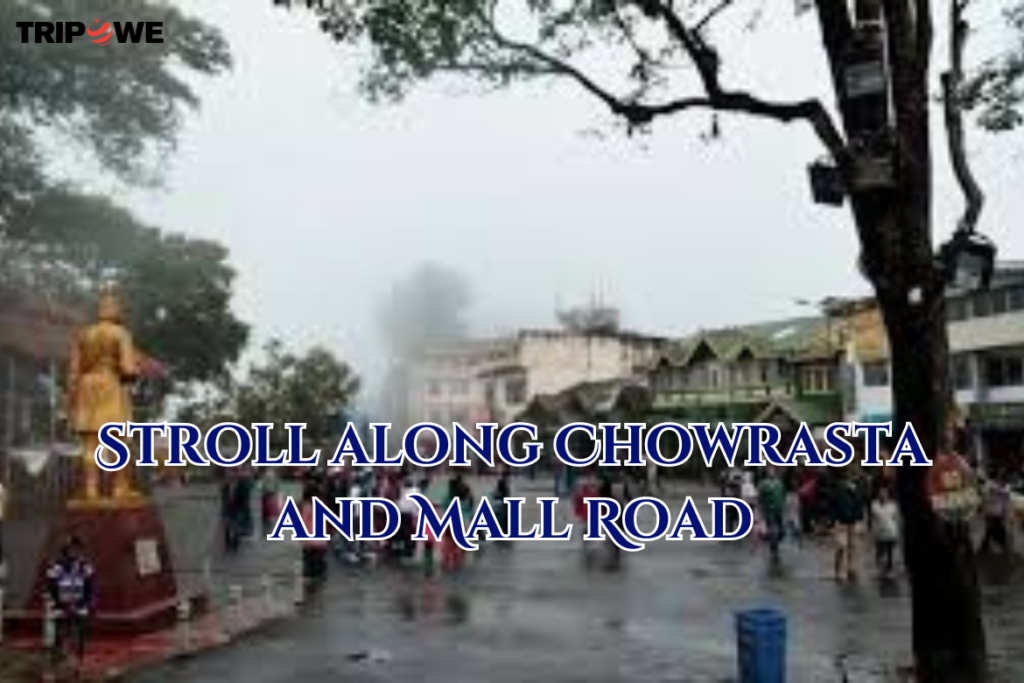 Travel Darjeeling in Monsoon Season tripowe.com