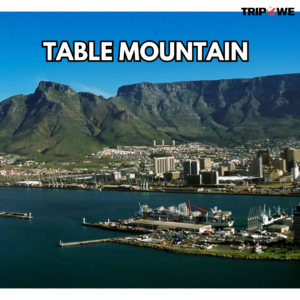 Table Mountain