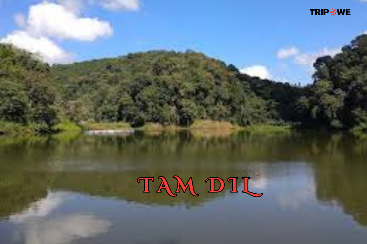 Tam Dil tripowe.com