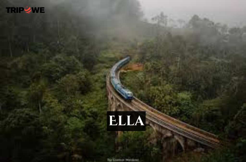 Ella tripowe.com