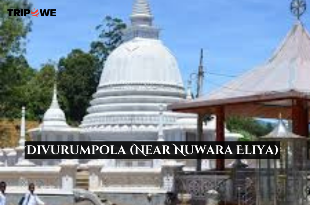 Divurumpola (Near Nuwara Eliya) tripowe.com