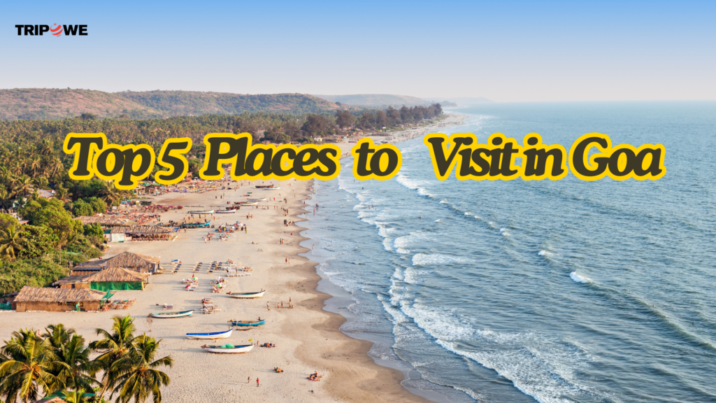 Top 5 Places to Visit in Goa Tripowe.com