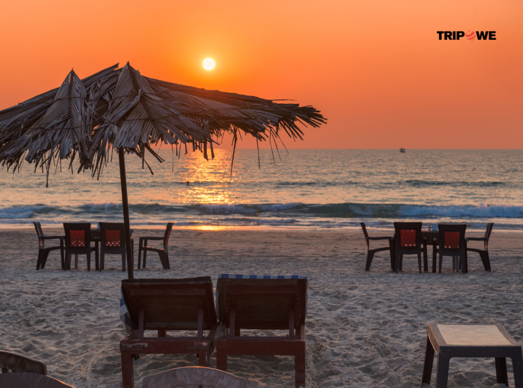 Top 8 Reasons why you should visit Goa in September