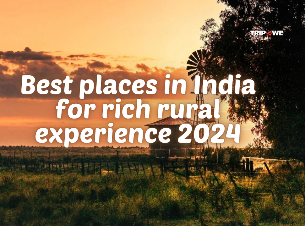 Best places in India for rich rural experience 2024 Tripowe.com