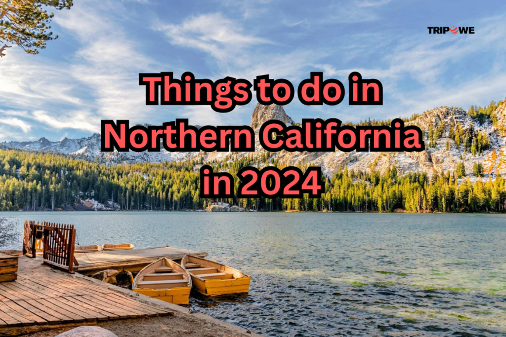 Things to do in Northern California in 2024