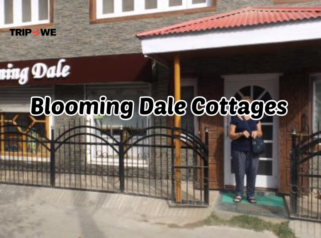 Blooming Dale Cottages