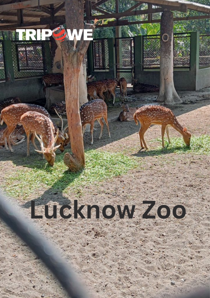 Lucknow Zoo