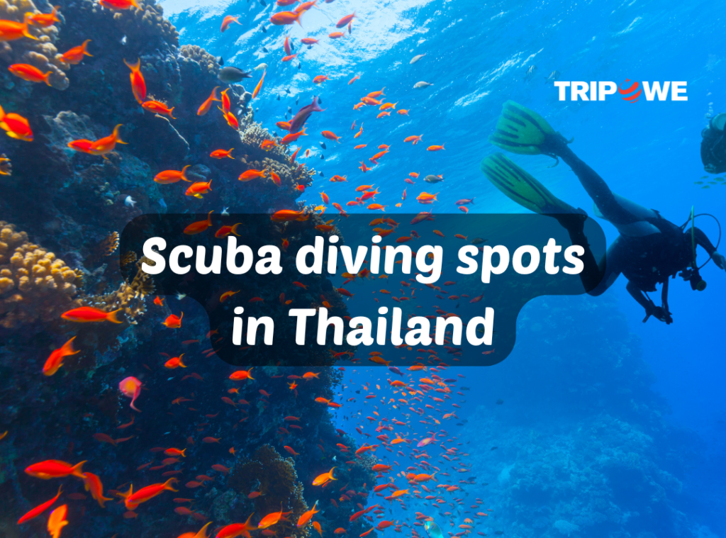 Scuba diving spots in Thailand