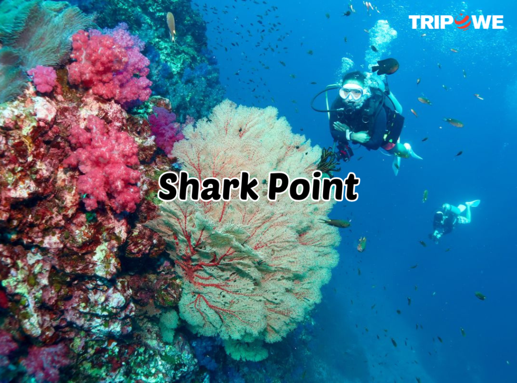 Scuba diving spots in Thailand 