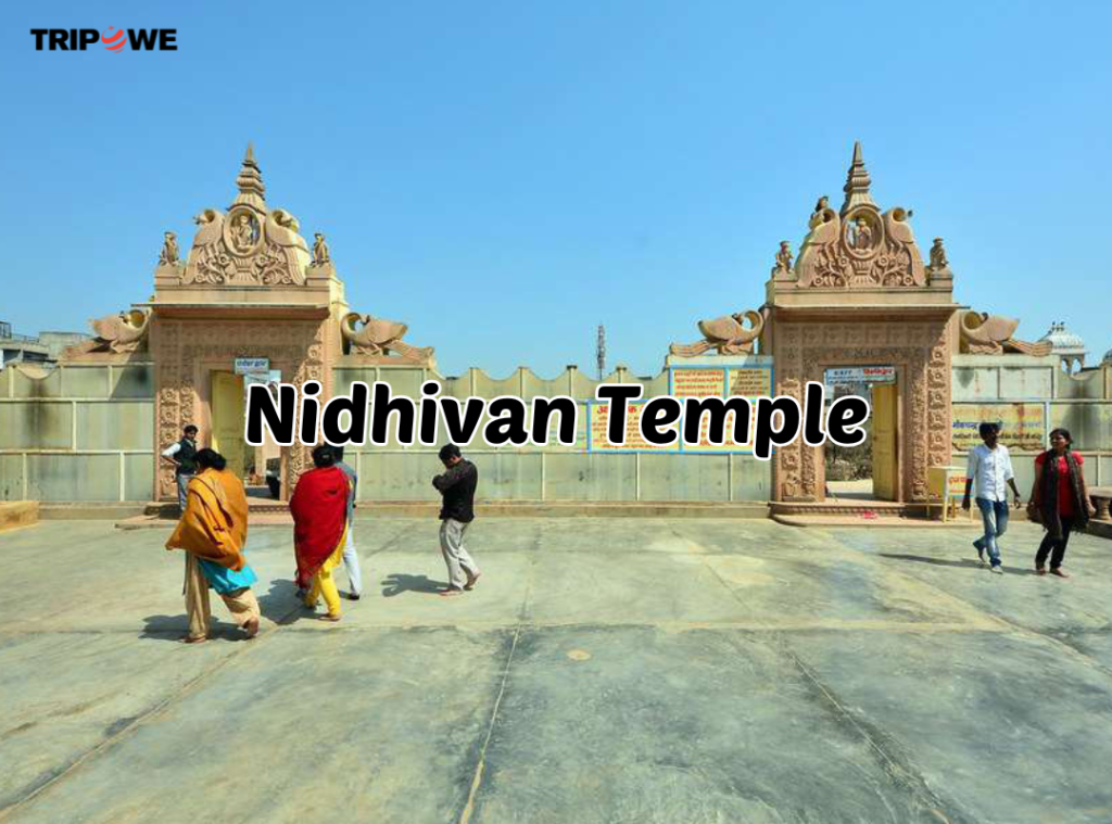 Top Temples to Visit in Vrindavan