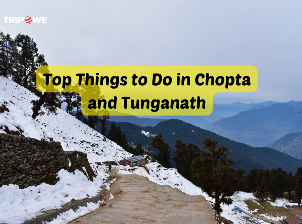 Tunganath and Chopta Travel Itinerary 2024 