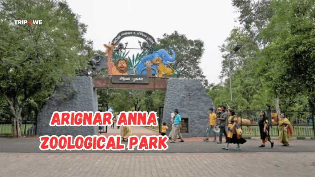 Arignar Anna Zoological Park