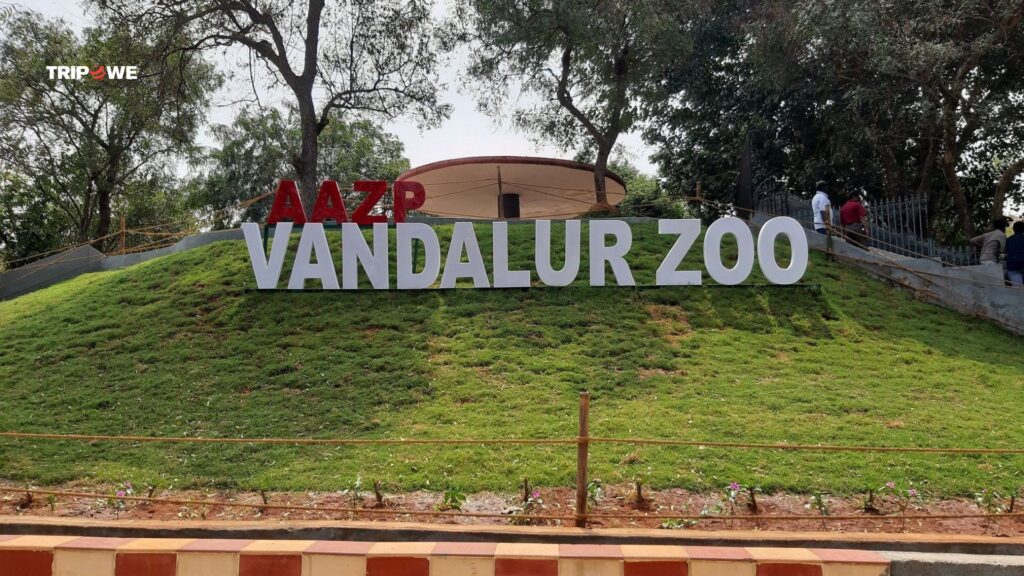 Arignar Anna Zoological Park