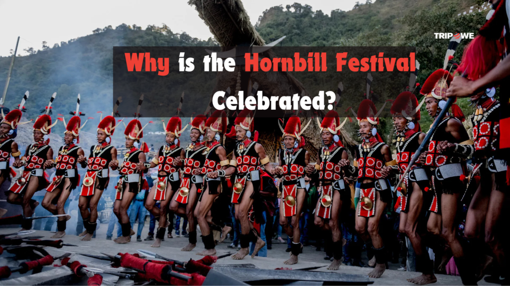 Hornbill festival