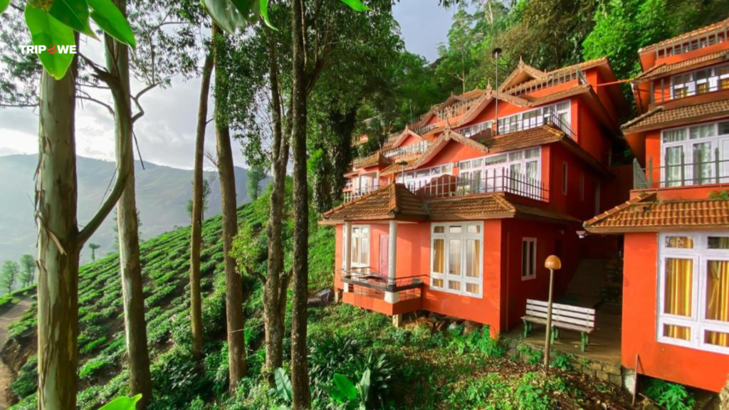 Best Resorts in Munnar