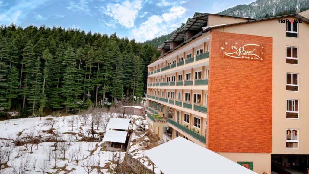 Affordable Hotels in Manali