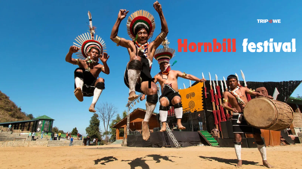 Hornbill festival