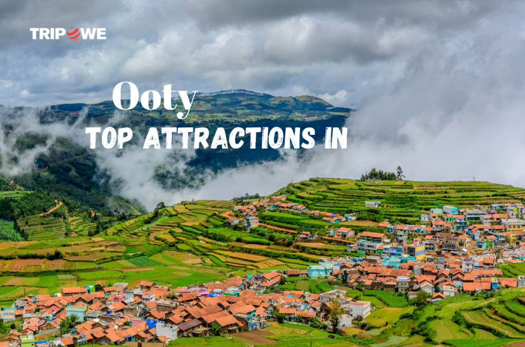 Top Attractions in Ooty