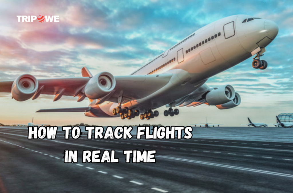 How to Track Flights in Real time