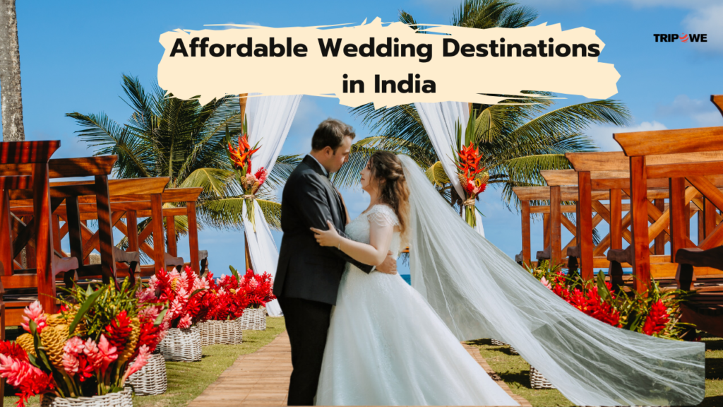 Affordable wedding destination in india