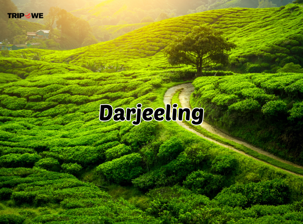 Darjeeling