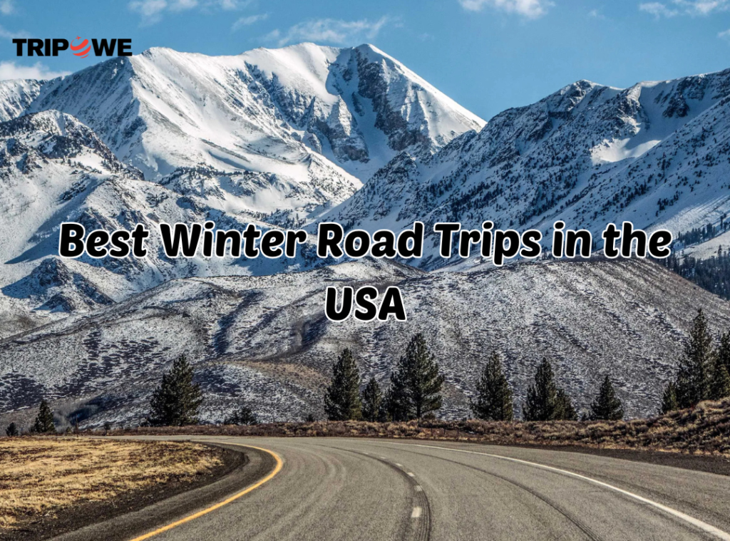 Best Winter Road Trips in the USA