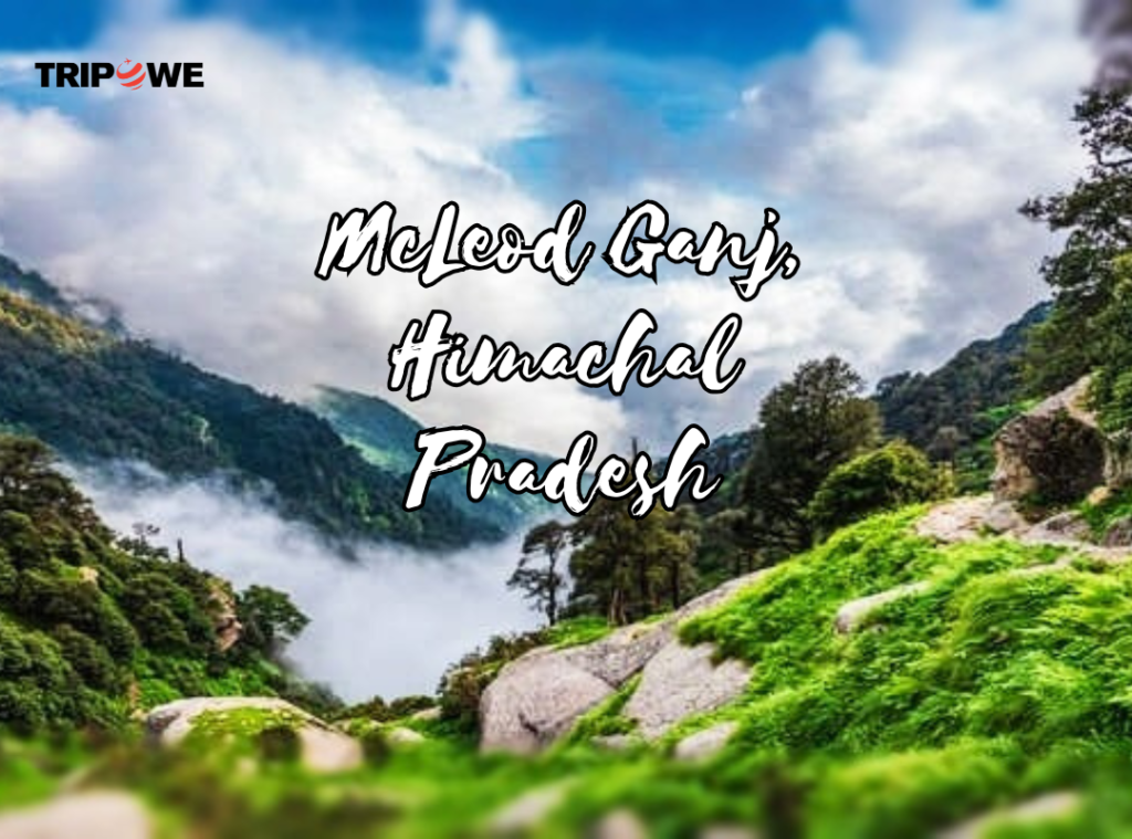 McLeod Ganj, Himachal Pradesh